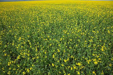 NHK《游戏基因组》将于1月23日播出 《死亡搁浅》未公开对话加长版特集