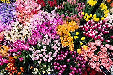 银恶城动作《武士之魂》steam页面开放 2024年登陆多平台