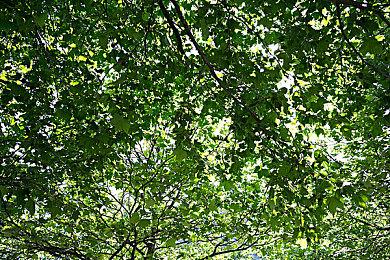 《刺猬索尼克》制作人回顾十年前：触底反弹起死回生